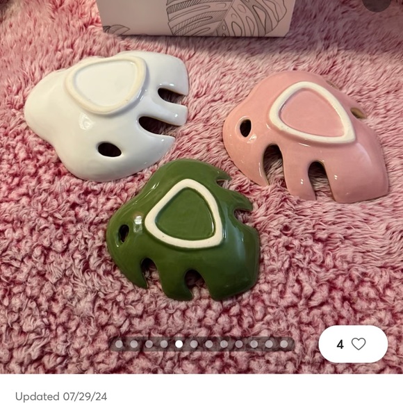 3 PACK MONSTERA TRAYS - Picture 6 of 8